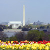 Washington-DC_Monuments